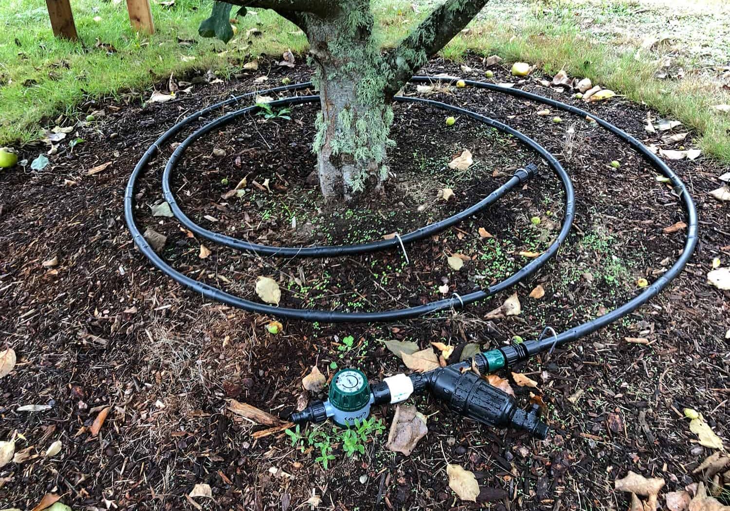 Tree irrigation